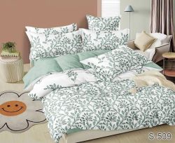 Комплект постільної білизни євро наволочки 50*70см Сатин S539