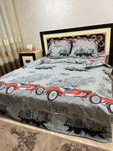 Комплект постільної білизни Премиум 001-2 Бязь наволочки 50*70см